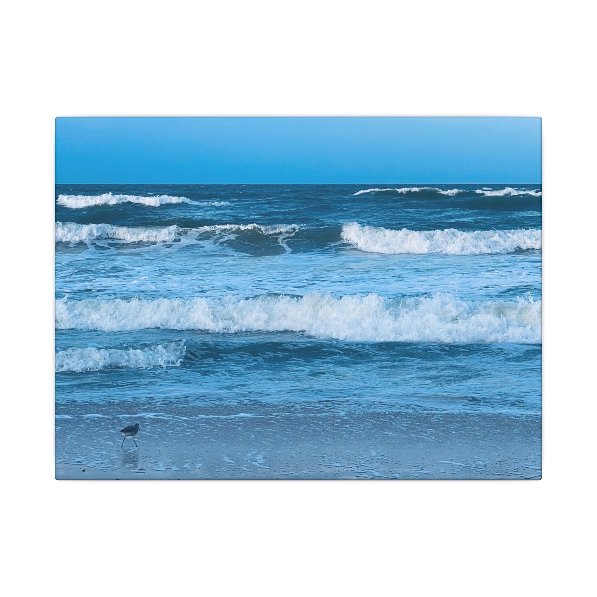 Canvas Print: Rolling Waves - Ormond-By-The-Sea