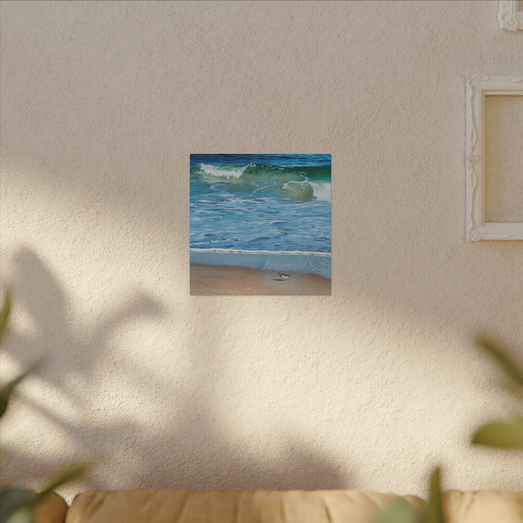 Canvas Print: Beach Day - Ormond By The Sea