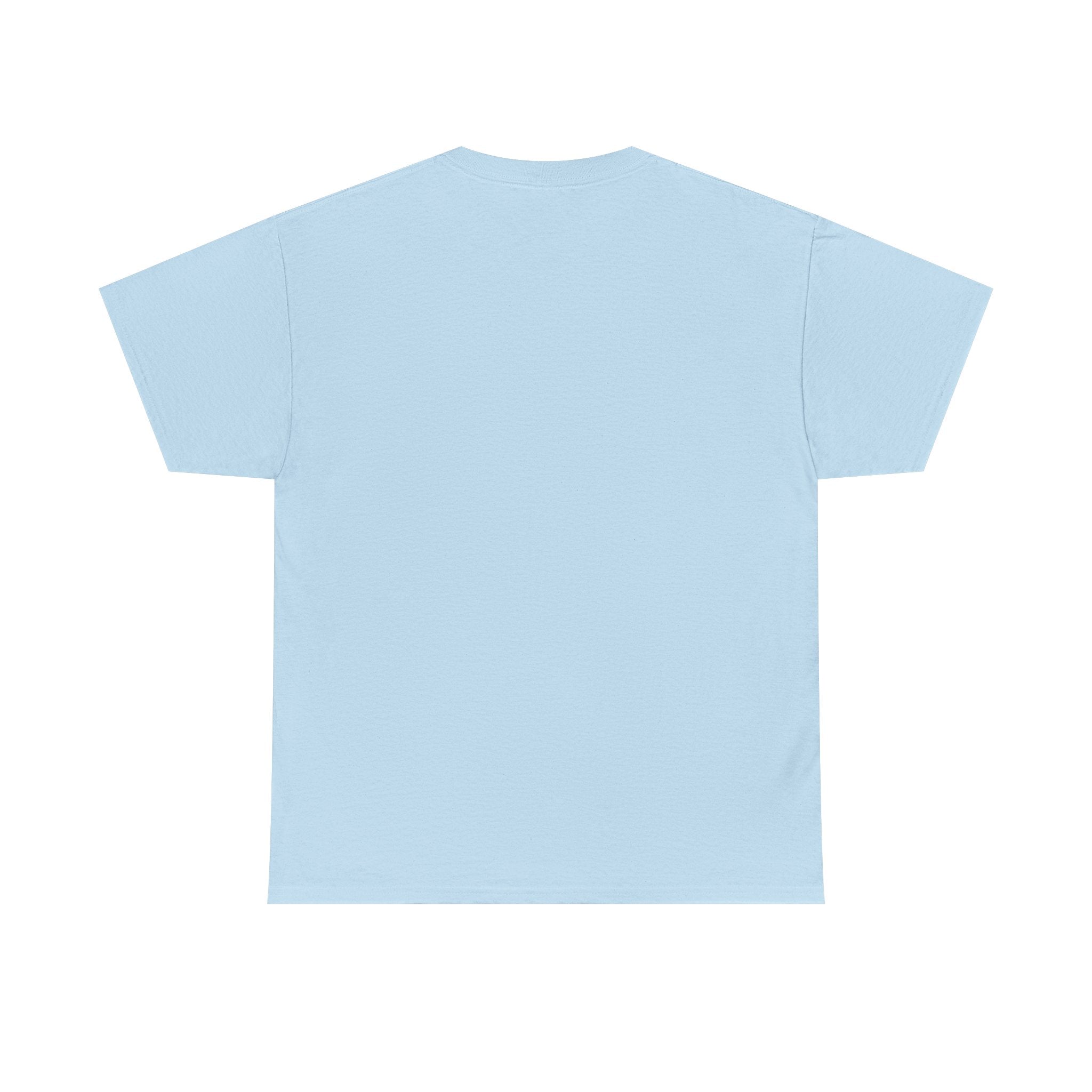 Teeshirt: Naughty or Nice... We Tried - Adult (M/F)