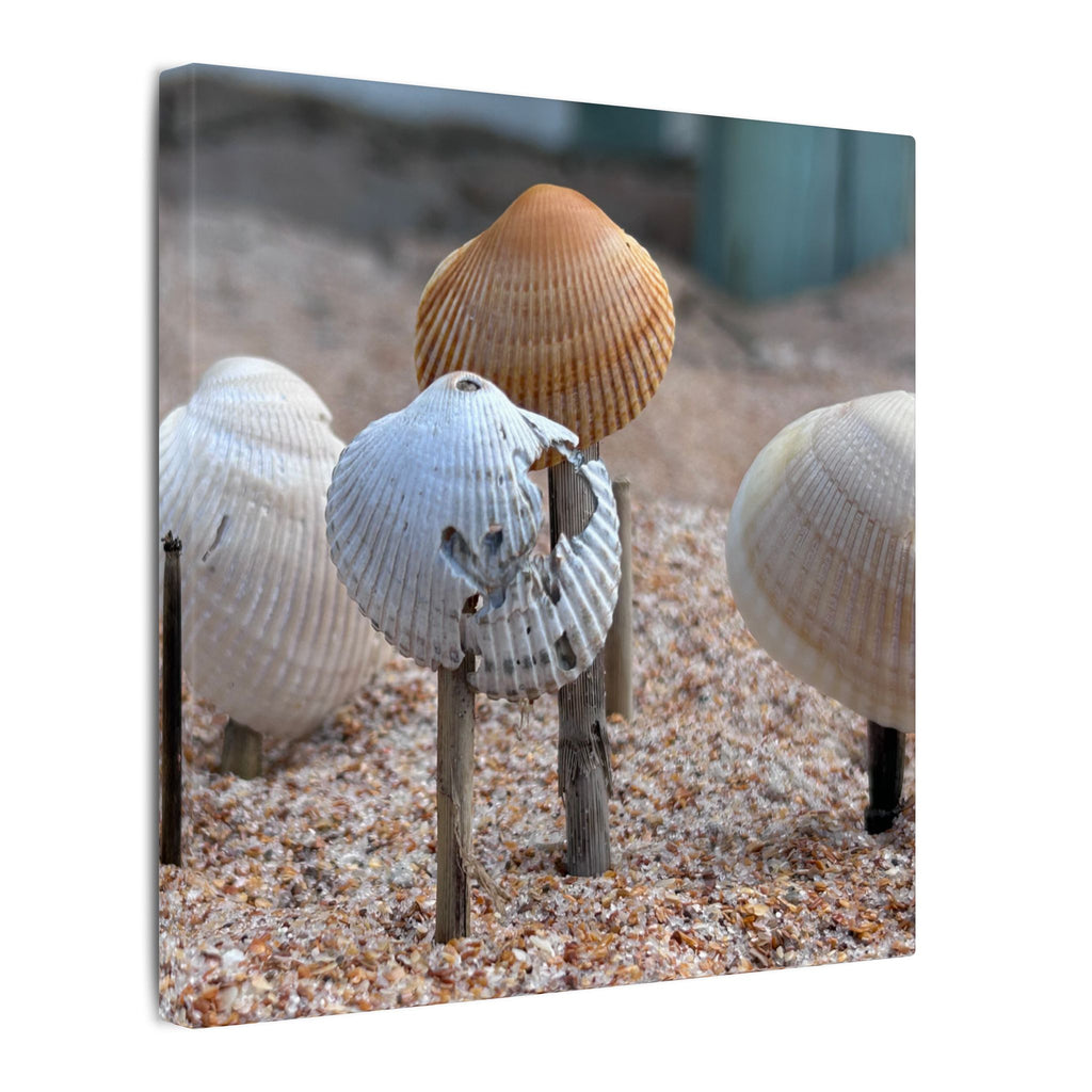 Canvas Print: Seashells-Ormond Beach