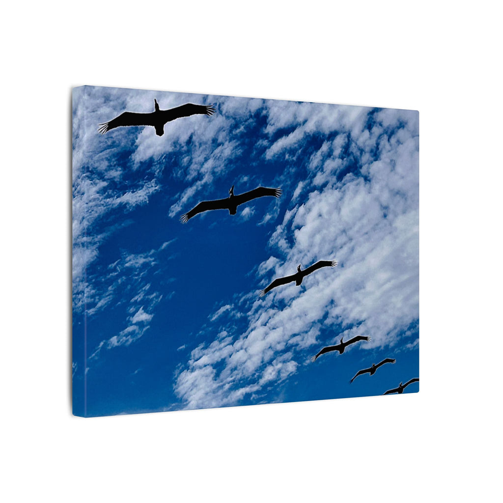 Canvas Print: Birds Flying Over Ormond Beach